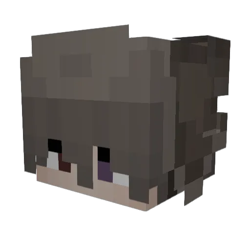 Jesus2911 Minecraft avatar head, 3D render
