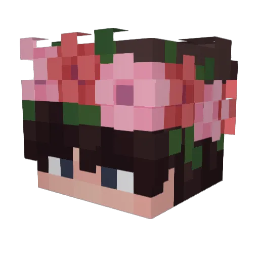 JesusDCT28 Minecraft avatar head, 3D render