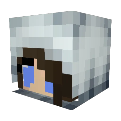 Jesusraptor_ Minecraft avatar head, 3D render