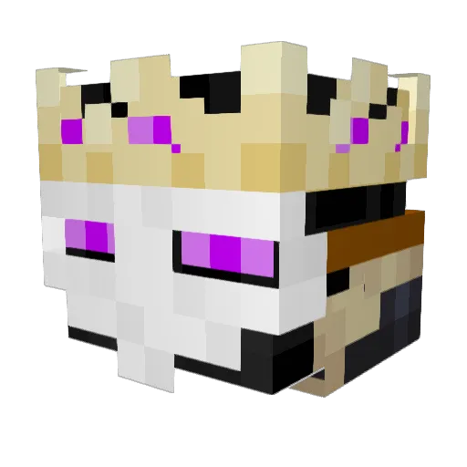 JetReaper2008 Minecraft avatar head, 3D render