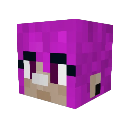 JetSetFret Minecraft avatar head, 3D render