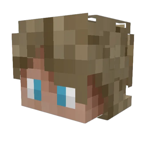 JetStream14 Minecraft avatar head, 3D render