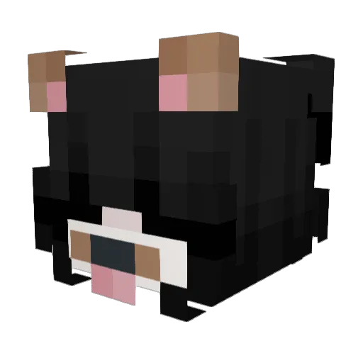 Jet_Jet_ Minecraft avatar head, 3D render