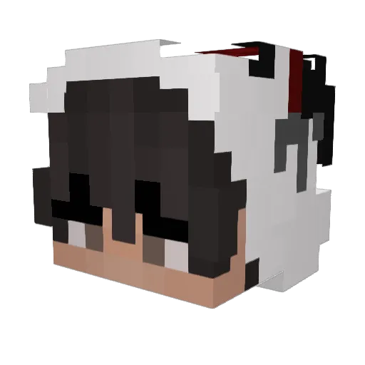 Jetax2 Minecraft avatar head, 3D render