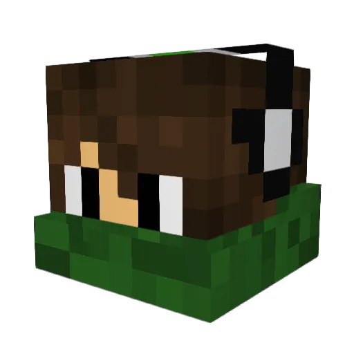 Jethox Minecraft avatar head, 3D render