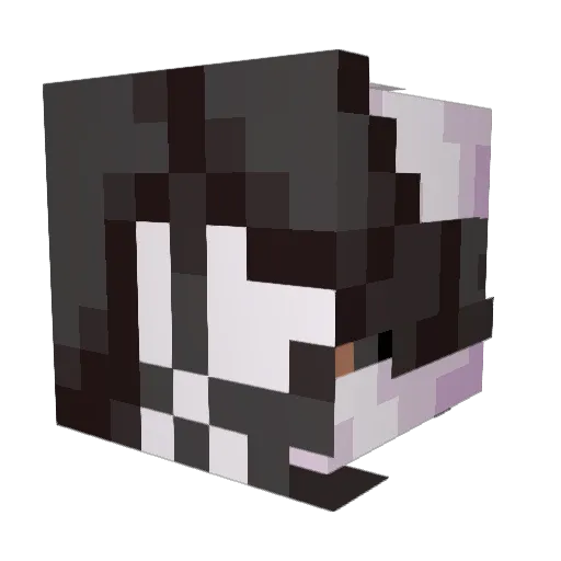 Jetie Minecraft avatar head, 3D render