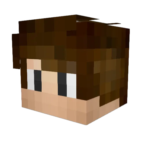 JetpackBear Minecraft avatar head, 3D render