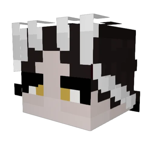 Jetraptor07 Minecraft avatar head, 3D render
