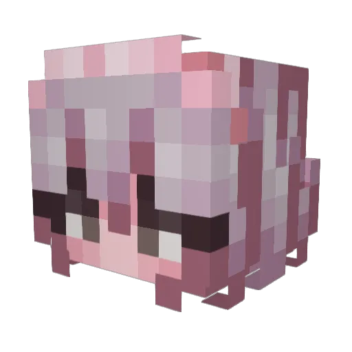 Jetstream_Sam863 Minecraft avatar head, 3D render