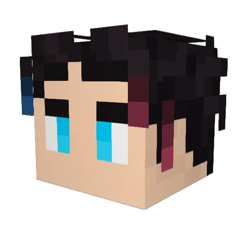 Jett1n_ Minecraft avatar head, 3D render