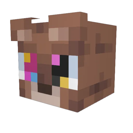Jetty_Boi21 Minecraft avatar head, 3D render
