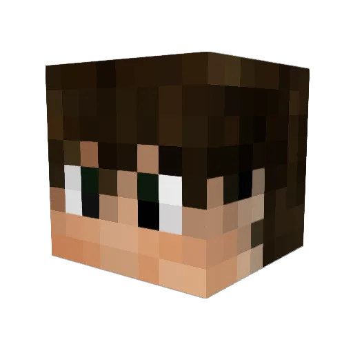 Jetuil Minecraft avatar head, 3D render