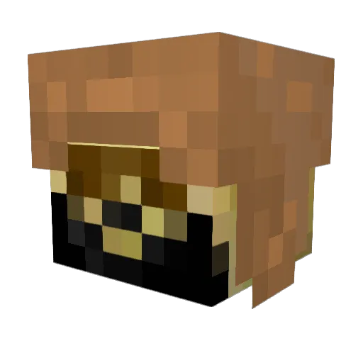 Jeugdzorg Minecraft avatar head, 3D render