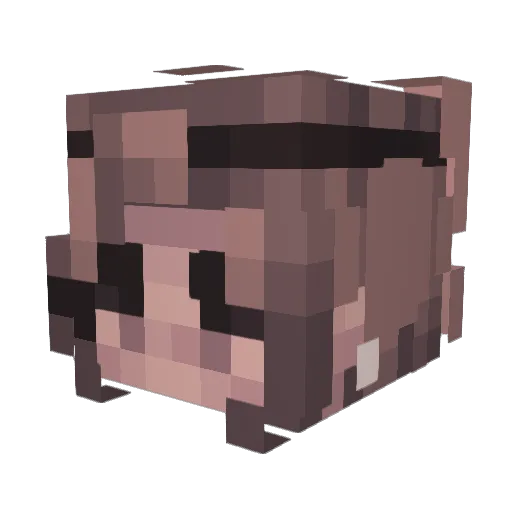 Jeveex Minecraft avatar head, 3D render