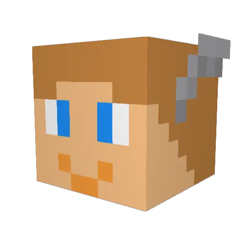 Jevisolaru Minecraft avatar head, 3D render