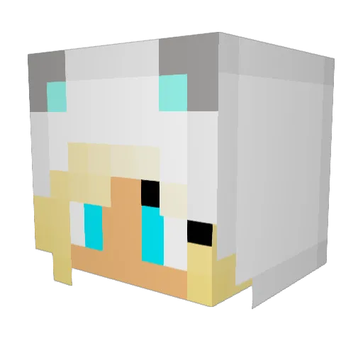 JewelChick1027 Minecraft avatar head, 3D render