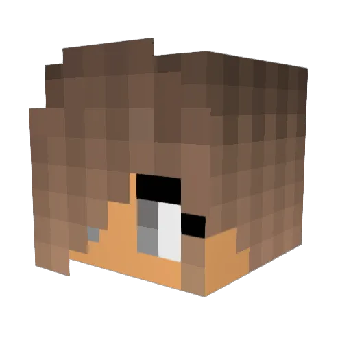 JewelColletorx3 Minecraft avatar head, 3D render