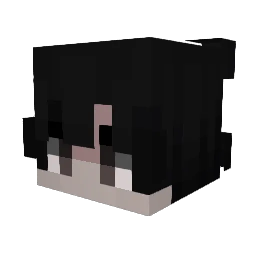 JeweledPond539 Minecraft avatar head, 3D render