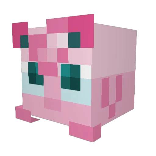Jewellbug Minecraft avatar head, 3D render