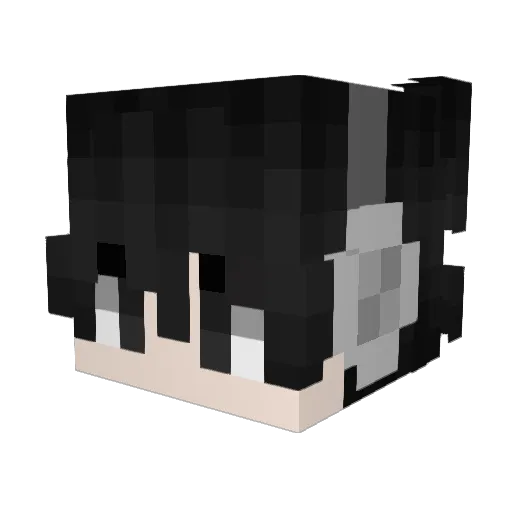Jexsy_ Minecraft avatar head, 3D render