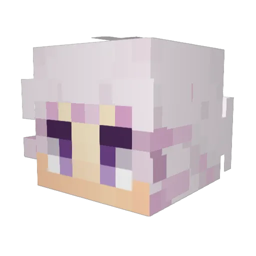 JeydinNewWon Minecraft avatar head, 3D render