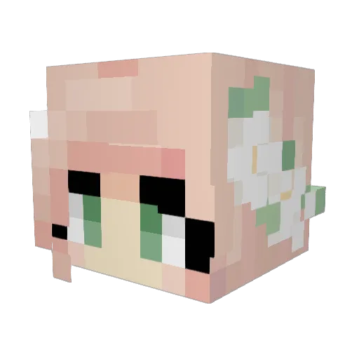 Jeyungu Minecraft avatar head, 3D render