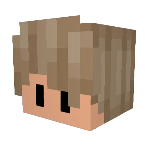 Jezza1003 Minecraft avatar head, 3D render
