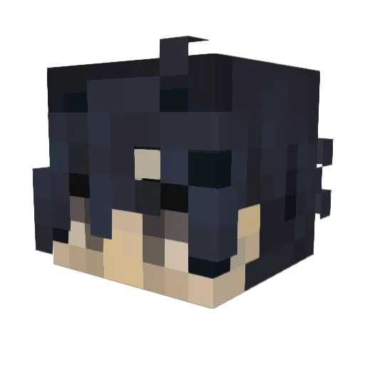 Jfae903 Minecraft avatar head, 3D render