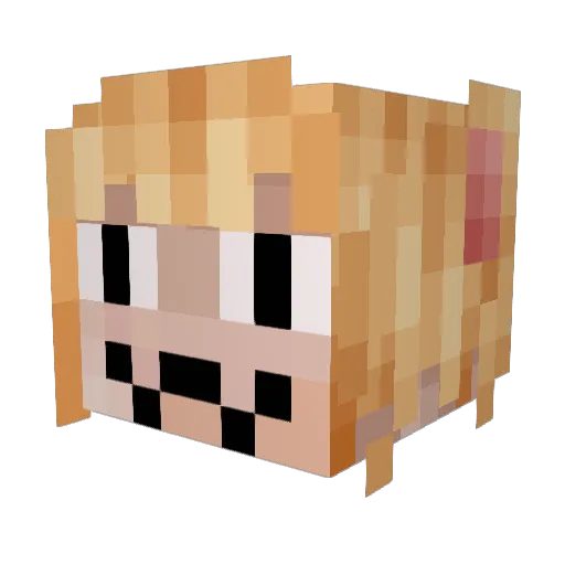 Jgame3110 Minecraft avatar head, 3D render