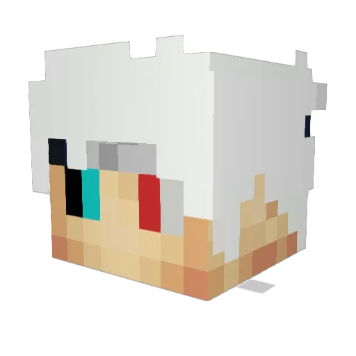 Jgamer207 Minecraft avatar head, 3D render