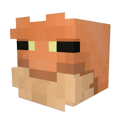 Jgames6565 Minecraft avatar head, 3D render