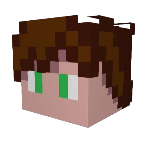 Jgbug09 Minecraft avatar head, 3D render