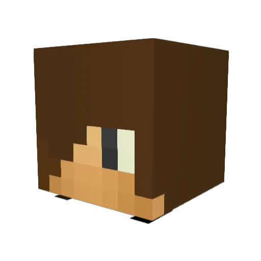 Jh8ngy Minecraft avatar head, 3D render