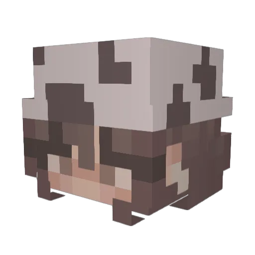 JhMores Minecraft avatar head, 3D render