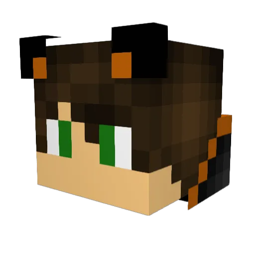 JhWolf99 Minecraft avatar head, 3D render