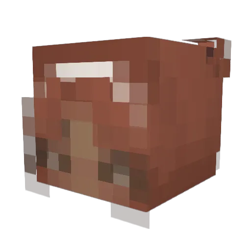 Jhelani Minecraft avatar head, 3D render