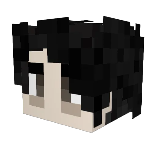 JhinsEcho Minecraft avatar head, 3D render