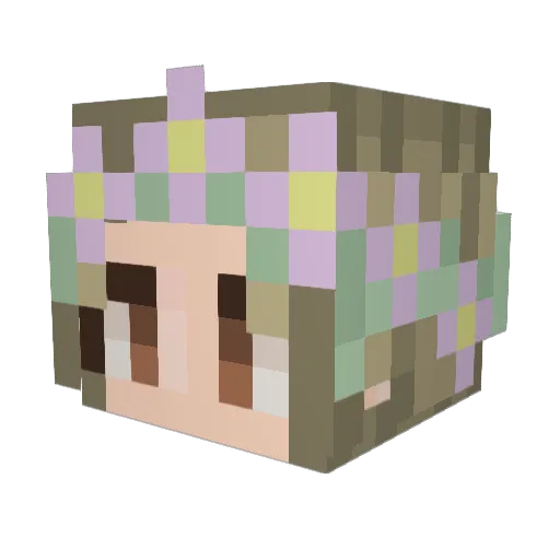 Jhippie1 Minecraft avatar head, 3D render