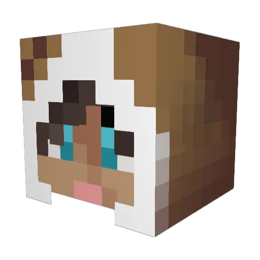 JhonSWolf Minecraft avatar head, 3D render