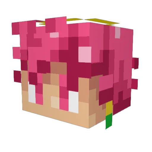 Jhonny1712 Minecraft avatar head, 3D render