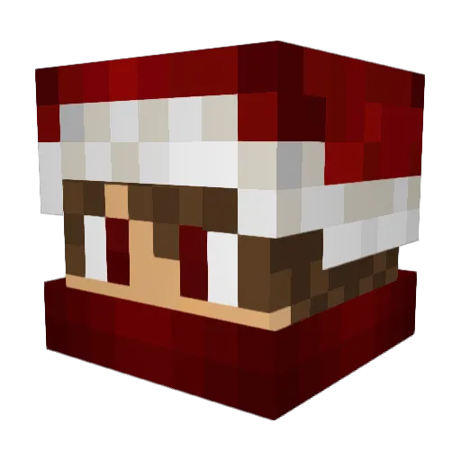 JhonyCubeYT Minecraft avatar head, 3D render