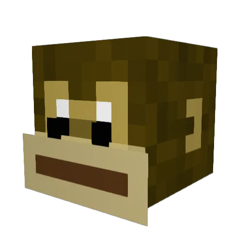 JhonyPT Minecraft avatar head, 3D render