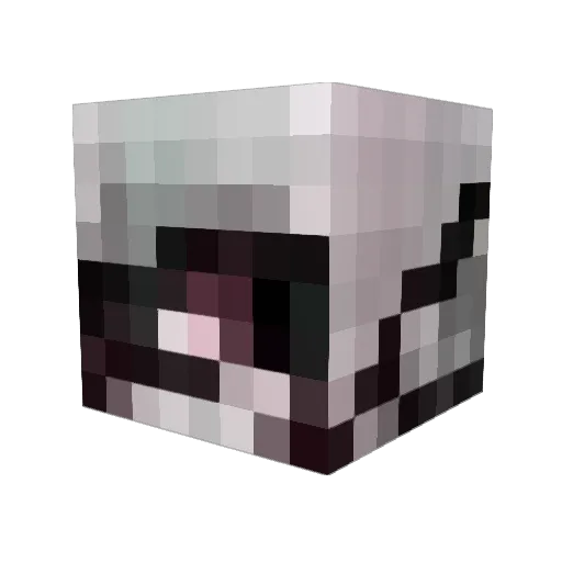 Jhood0817 Minecraft avatar head, 3D render