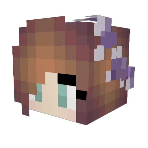 Jhooooooooope Minecraft avatar head, 3D render