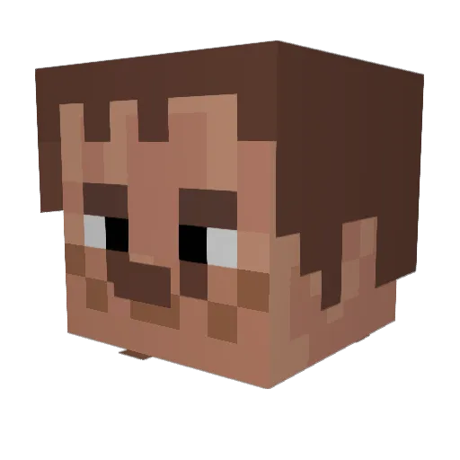 Jhowziiiin Minecraft avatar head, 3D render