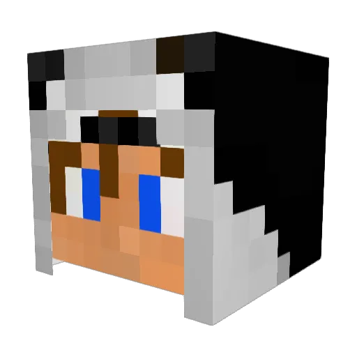 Ji3 Minecraft avatar head, 3D render
