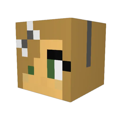 JiPiho Minecraft avatar head, 3D render