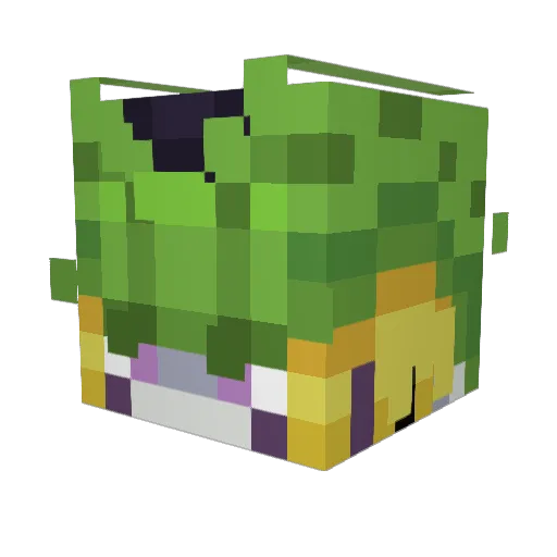 JiTT25 Minecraft avatar head, 3D render