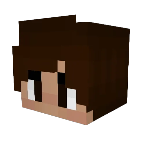 JiaAiLin Minecraft avatar head, 3D render