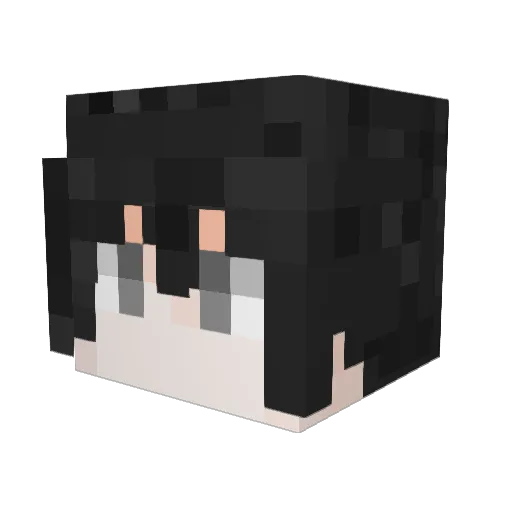 JiaBaiLi Minecraft avatar head, 3D render